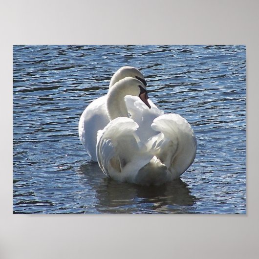 "Voor het leven" Poster (Voorkant)