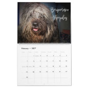 VOOR HONDENLIEFHEBBERS 2020 KALENDER (Feb 2027)