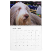 VOOR HONDENLIEFHEBBERS 2020 KALENDER (Jan 2026)