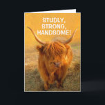 Voor Husband Funny Steer Birthday Kaart<br><div class="desc">Show je geweldige man hoeveel hij voor je betekent met deze grappige staar. Je man zal gevleid zijn en wat lachen. Pas het bericht aan creëer uw eigen unieke groet aan. Bedankt om te zoeken! Foto ©Christine Greenspan</div>