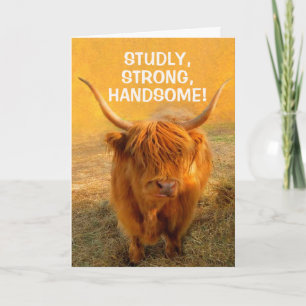 Voor Husband Funny Steer Birthday Kaart