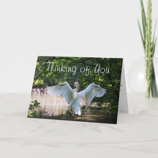 Voor iemand die de EindKaart is Kaart (Voorkant)