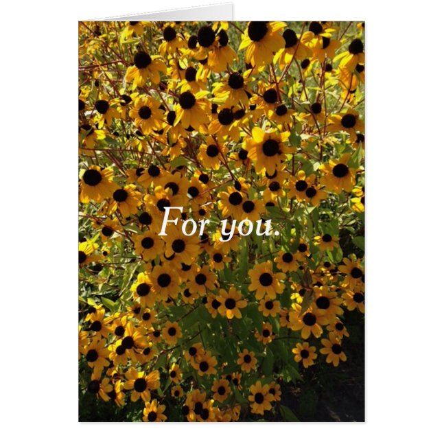 Voor jou Black Eyed Susan Flowers Wenskaarten (Voorkant)