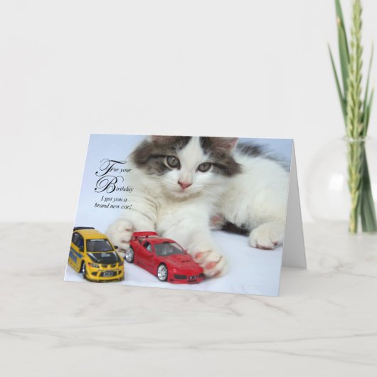 Voor Kaarten Uw van de Verjaardag (Kat) (Voorkant)