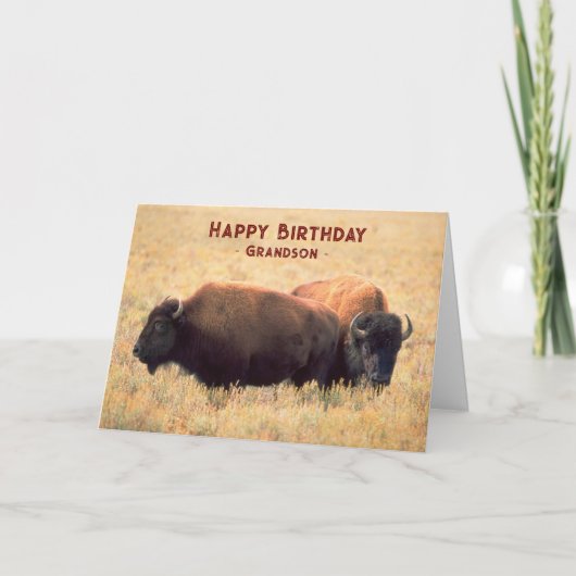 Voor kleinson Birthday met een paar van Bison Kaart (Voorkant)