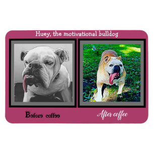 Voor koffie na koffie grappige buldog magneet