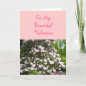 Voor mijn mooie Valentijn Feestdagen Kaart (Voorkant)