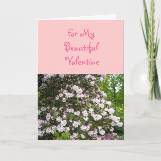 Voor mijn mooie Valentijn Feestdagen Kaart (Voorkant)