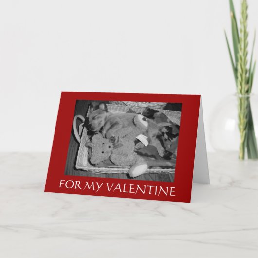 VOOR MIJN VALENTIJN FEESTDAGEN KAART (Voorkant)