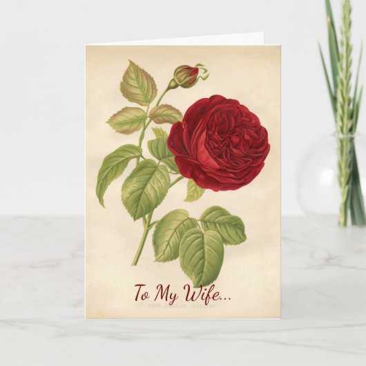 Voor mijn vrouw Valentijn Feestdagen Kaart (Voorkant)