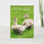 Voor mijn Zuster Cancer Support Ducking Kaart (Voorkant)