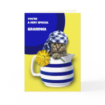 Voor oma op Moederdag. Cute Kitten