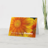 Voor Oma Verjaardag Gazania Bloemen Kaart (Voorkant)