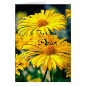 Voor onze dominee "Dame" (Voorkant)