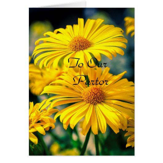 Voor onze dominee "Dame" (Voorkant)