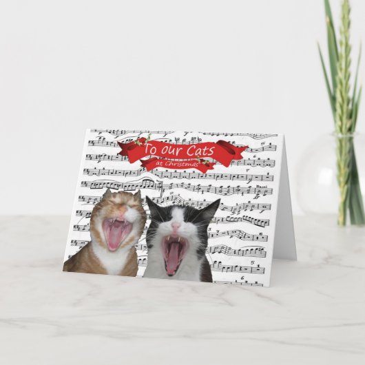 Voor onze katten feestdagen kaart (Voorkant)