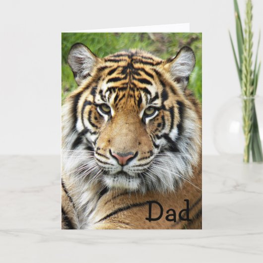 Voor papa Big Cat Tiger Foto Birthday Kaart (Voorkant)