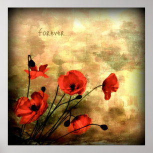 Voor Poster