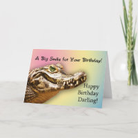 Voor Schat, een het glimlachen