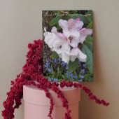 Voor schoondochter Floral Moederdag Kaart