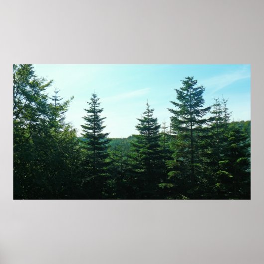 Voor zover het oog kan zien poster (Voorkant)