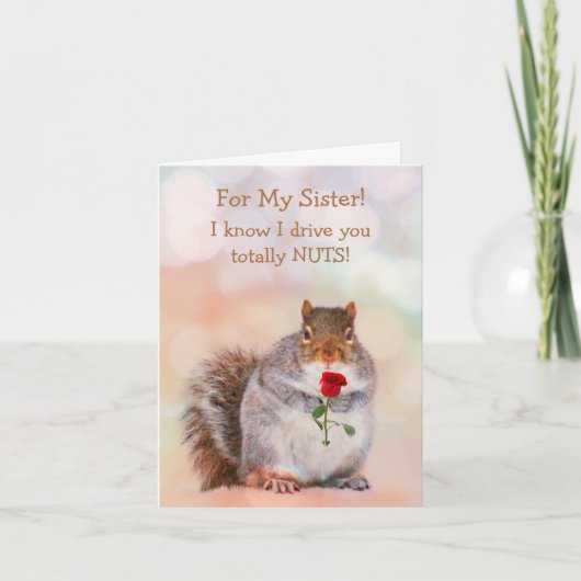 Voor zuster Funny Squirrel Birthday Kaart (Voorkant)