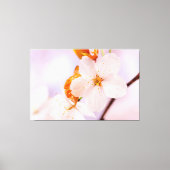 Vooraanzicht van kersenbloesem in het lente-seizoe canvas afdruk (Voorkant)