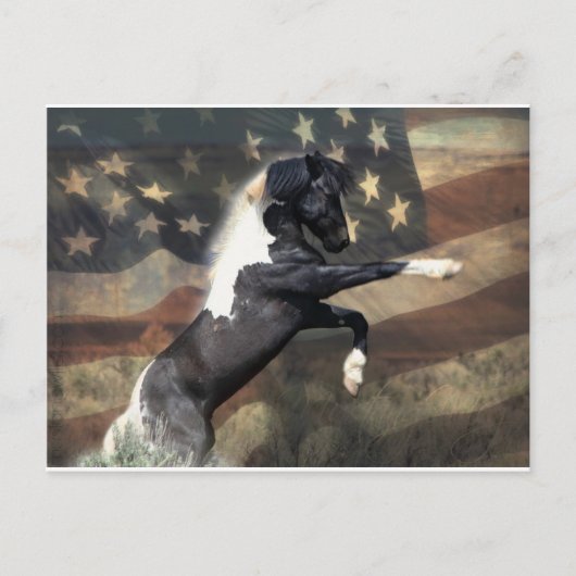 Vooraf geadresseerd Briefkaart aan het Departement (Voorkant)