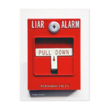 Vooraf geadresseerd Donald J.Trump Fire Trump Brie