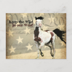 Vooraf gericht Briefkaart op de Afdeling van Binne