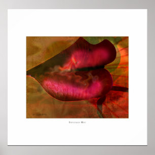 Vooral warm poster