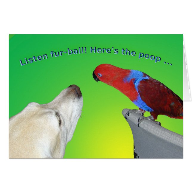 Voorbal (Voorkant Horizontaal)