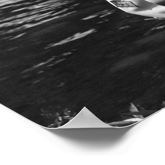 Voorbeeld, Big Springs-tuinen Poster (Hoek)