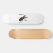 Voorbeeld van de cartoon van de kever persoonlijk skateboard (Horizontaal)