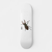 Voorbeeld van de cartoon van de kever persoonlijk skateboard (Voorkant)