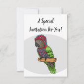 Voorbeeld van de cartoon van de paardenvogel kaart (Achterkant)