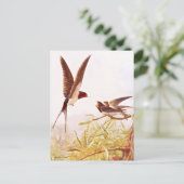 Voorbeeld van de zweetvogel briefkaart (Staand voorkant)