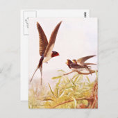 Voorbeeld van de zweetvogel briefkaart (Voorkant / Achterkant)