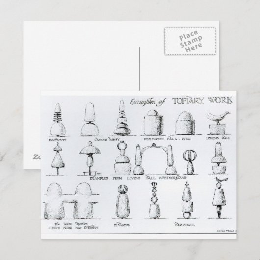 Voorbeelden van Topiary Work, 1902 (engraving) (b/ Briefkaart (Voorkant / Achterkant)