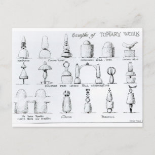 Voorbeelden van Topiary Work, 1902 (engraving) (b/ Briefkaart