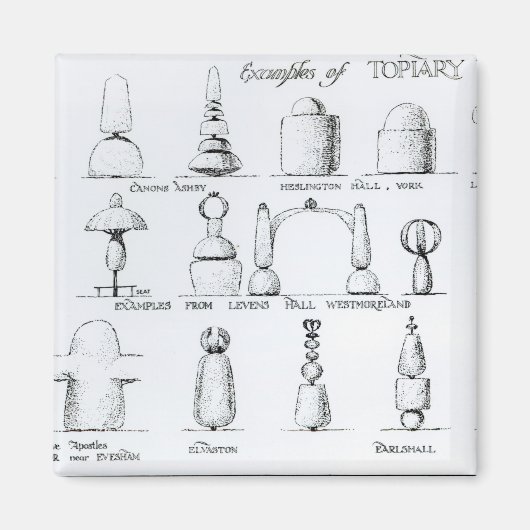 Voorbeelden van Topiary Work, 1902 (engraving) (b/ Magneet (Voorkant)