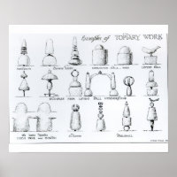 Voorbeelden van Topiary Work, 1902 (engraving) (b/