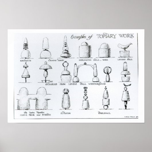 Voorbeelden van Topiary Work, 1902 (engraving) (b/ Poster (Voorkant)