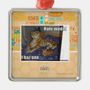 Voorbeeldgever, I haz Metalen Ornament