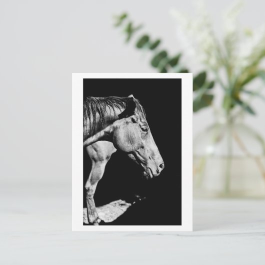 voorbeen van het paard briefkaart (Staand voorkant)