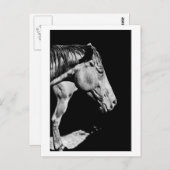 voorbeen van het paard briefkaart (Voorkant / Achterkant)