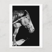 voorbeen van het paard briefkaart (Voorkant)