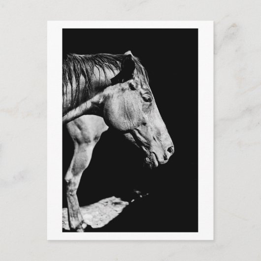 voorbeen van het paard briefkaart (Voorkant)