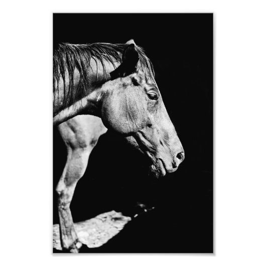 voorbeen van het paard foto afdruk (Voorkant)