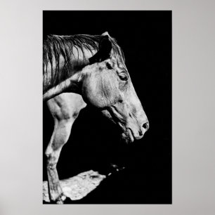 voorbeen van het paard poster